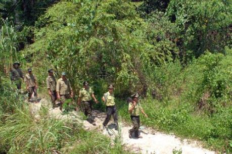 Chấn chỉnh sai phạm trong trồng rừng tại rừng phòng hộ Dầu Tiếng ​