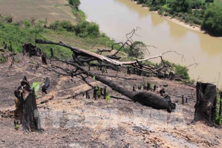 "Tan nát" Khu Bảo tồn thiên nhiên Nam Kar, Đắk Lắk
