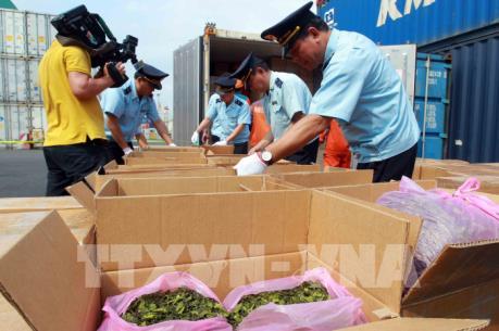 Thu giữ container chứa khoảng 2,5 tấn lá Khát