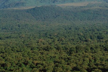 Congo: Hai khách du lịch người Anh bị bắt cóc tại Công viên Virunga