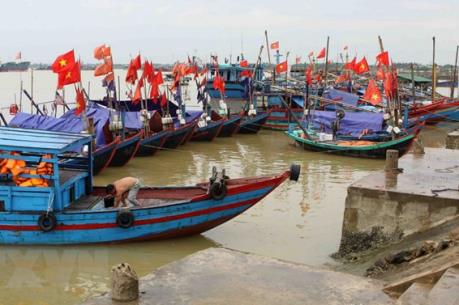 Quảng Bình vươn lên mạnh mẽ sau sự cố môi trường biển