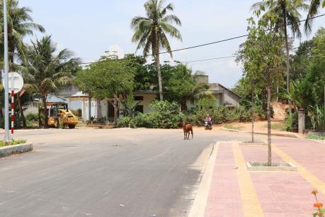Huyện Hoài Ân lên tiếng về dự án nâng cấp tuyến đường ĐT630