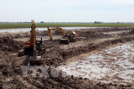 Khuyến cáo nông dân không ồ ạt mở rộng diện tích thả nuôi cá tra