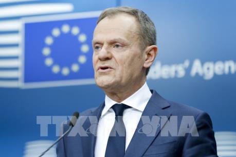 Hội đồng châu Âu muốn thể hiện sự kiên quyết trong thảo luận thương mại với Mỹ