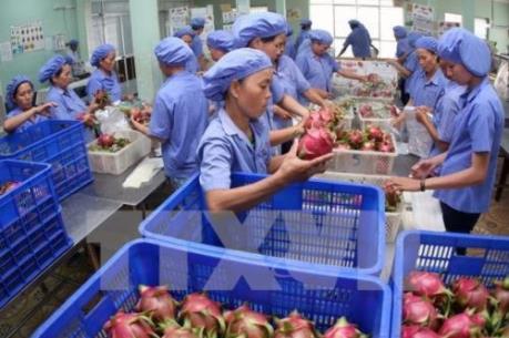 Xuất khẩu nông lâm thủy sản 5 tháng đạt 15,6 tỷ USD