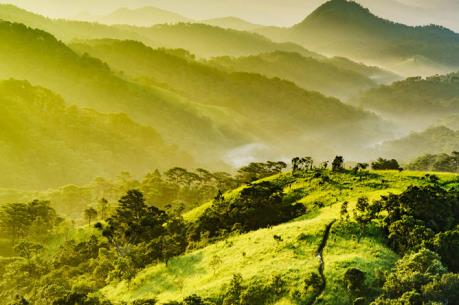 Tìm kiếm phượt thủ bị mất tích 5 ngày qua ở Lâm Đồng