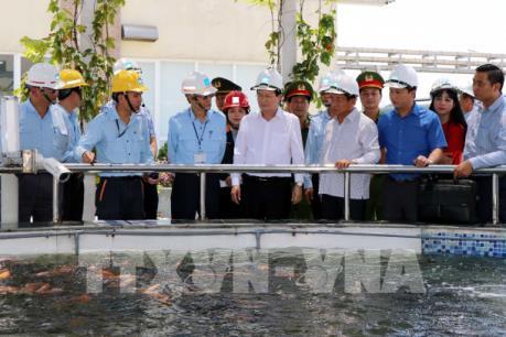 Phó Thủ tướng Trịnh Đình Dũng kiểm tra hoạt động khai thác hải sản tại Hà Tĩnh