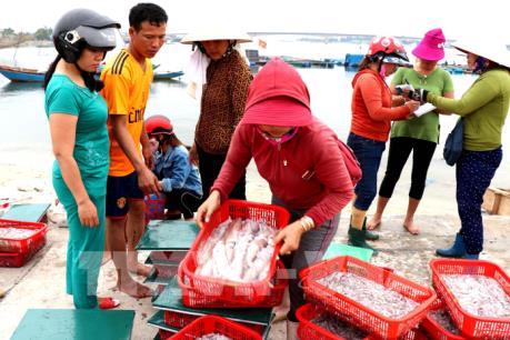 Biển Quảng Trị hồi phục sau 2 năm sự cố môi trường biển