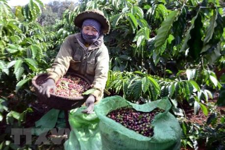 45.000 tỷ đồng thực hiện Chương trình Mỗi xã một sản phẩm