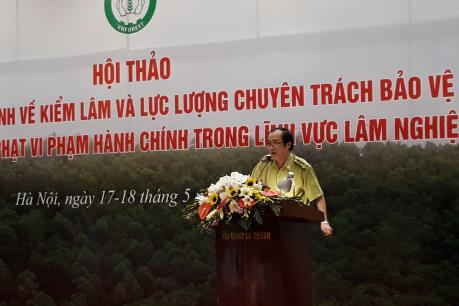 Dự thảo Nghị định về kiểm lâm và lực lượng chuyên trách bảo vệ rừng có điểm gì mới?