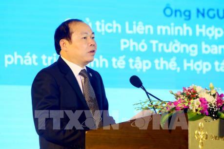 Cầu nối hỗ trợ các hợp tác xã đẩy mạnh xúc tiến thương mại