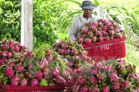 Nỗ lực quảng bá thương hiệu nông sản Việt Nam tại Nhật Bản