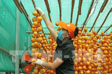 Lâm Đồng có thêm nhãn hiệu “Hồng Đà Lạt”