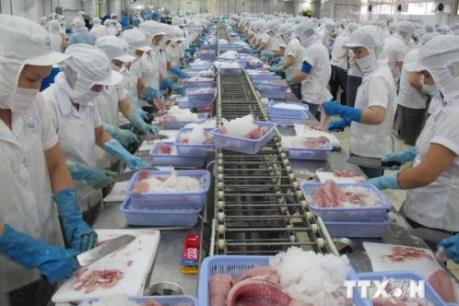 Vì sao xuất khẩu hải sản sang EU có xu hướng sụt giảm?