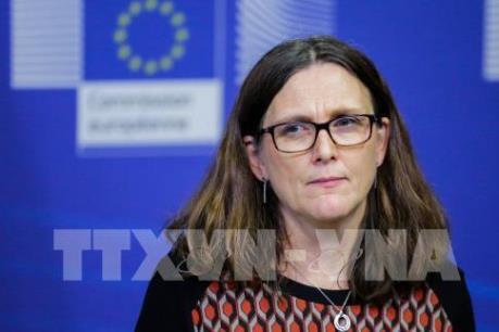 EU sẽ đấu tranh đến cùng nhằm ngăn chặn Mỹ áp thuế hàng hoá