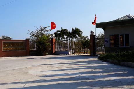 Tỉnh Ninh Thuận phạt hành chính Công ty TNHH Jade Royal 302 triệu đồng