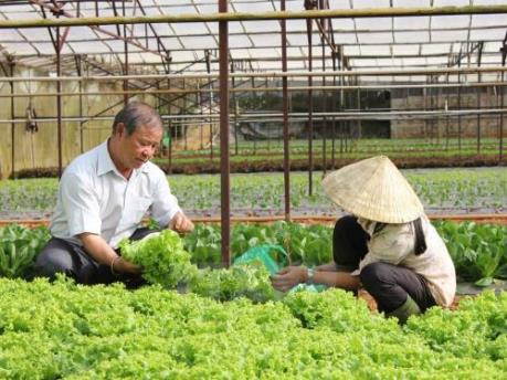 Tăng cường triển khai thi hành Luật Hợp tác xã