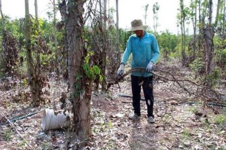 Kế hoạch triển khai thi hành Luật Trồng trọt, Luật Chăn nuôi