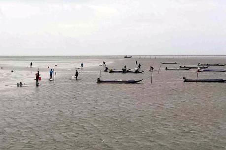 Để biển Khai Long không còn “dậy sóng” khi vào mùa khai thác nghêu giống