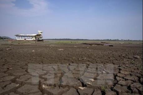 Hiệp định Paris đem lại lợi ích lớn cho kinh tế toàn cầu