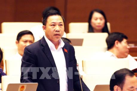 Kỳ họp thứ 5, Quốc hội khóa XIV: Đại biểu kiến nghị về "độ trễ" giữa luật và nghị định