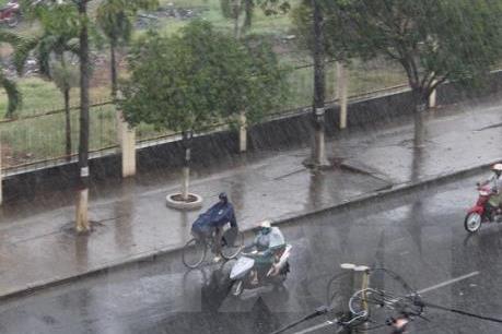 Bắc Bộ và các tỉnh từ Thanh Hóa đến Nghệ An có mưa vừa, có nơi mưa to đến rất to và dông