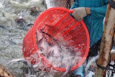 Giải bài toán quy hoạch để phát triển nông nghiệp bền vững