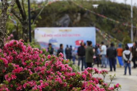 Hẹn hò tại thung lũng hoa dưới chân núi Fansipan