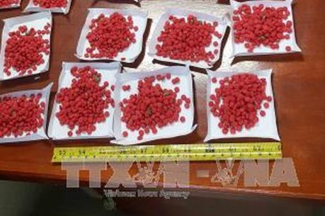 Triệt phá đường dây mua bán trái phép ma túy