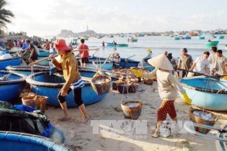 Khắc phục "thẻ vàng" IUU - Bài 2: Nhiều chuyển biến từ cơ sở