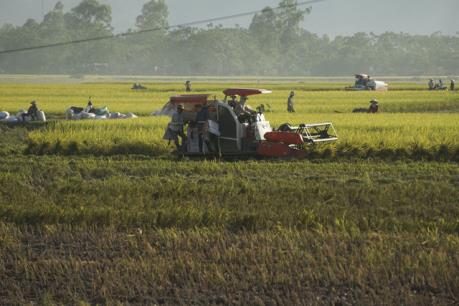 Tạm giữ đối tượng thu tiền “bảo kê” máy gặt trên đồng