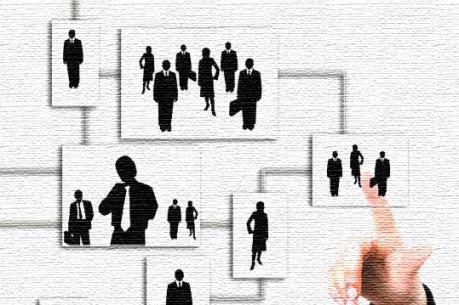 Vụ có 20 biên chế, bố trí tối đa hai cấp phó