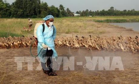Hướng tới an toàn lương thực, sức khỏe con người và động vật