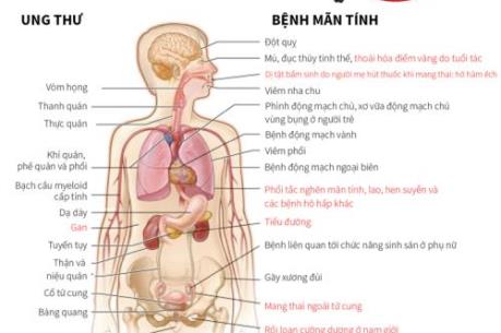 WHO cảnh báo hút thuốc lá gây ra hàng triệu ca tử vong do các bệnh tim mạch