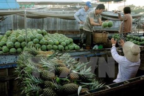 Phát huy giá trị thương hiệu trái cây đặc sản