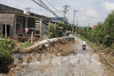 Sạt lở nghiêm trọng trên tuyến đê bao sông Vàm Cỏ