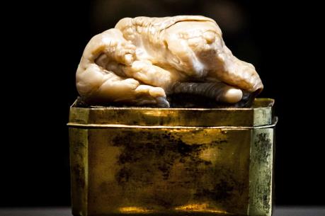 Đáu giá viên ngọc trai nước ngọt lớn nhất thế giới