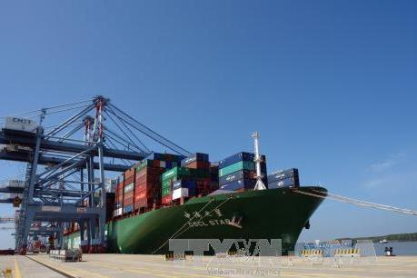 Vinalines Logistics đặt tham vọng mở rộng thị trường kinh doanh