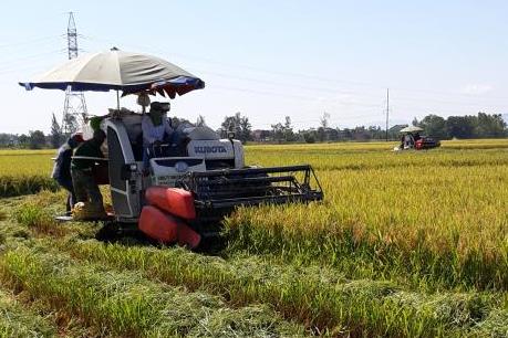 Nghệ An: Kiểm tra chỉ đạo thu hoạch vụ Xuân và sản xuất vụ Hè thu - Mùa năm 2018