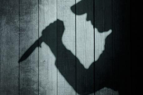 Đã xác minh danh tính hai du khách Việt bị đâm chết ở Mỹ