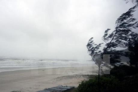 Dự báo trong 24 giờ tới, áp thấp nhiệt đới có khả năng mạnh lên thành bão