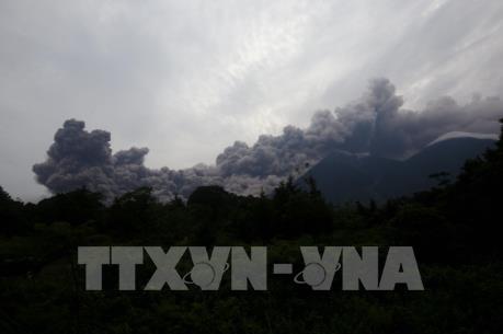 Thương vong trong vụ núi lửa phun trào tại Guatemala tăng mạnh