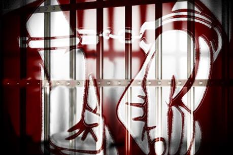 Bắt giữ lô hàng lớn máy móc, thiết bị điện lạnh không rõ nguồn gốc xuất xứ