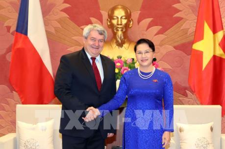 Chủ tịch Quốc hội Nguyễn Thị Kim Ngân tiếp Phó Chủ tịch Hạ viện Cộng hòa Séc