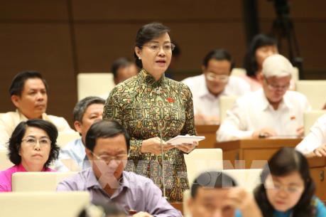 Đại biểu quốc hội tập trung chất vấn về vấn đề chống bạo hành và xâm hại trẻ em
