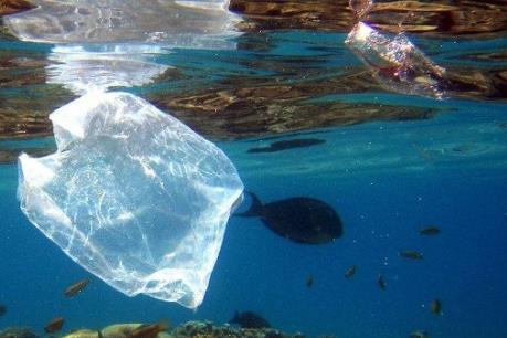 Mỗi năm, Châu Phi thải hơn 4 triệu tấn rác nhựa ra đại dương