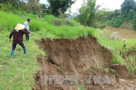 Lâm Đồng: Không có chuyện thu hồi đất của dân để giao cho doanh nghiệp