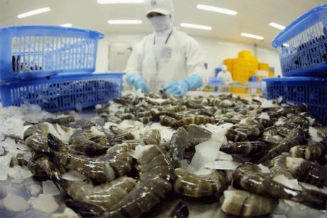 VASEP kiến nghị kiểm soát chặt hoạt động tạm nhập tái xuất tôm qua Trung Quốc