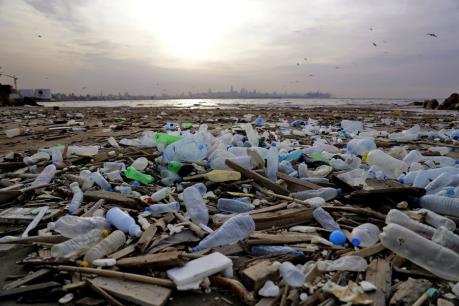 WWF cảnh báo tình trạng ô nhiễm rác thải nhựa tại Địa Trung Hải