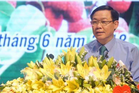 Cần cải thiện khâu bảo quản sau thu hoạch, chế biến và tiêu thụ vải thiều